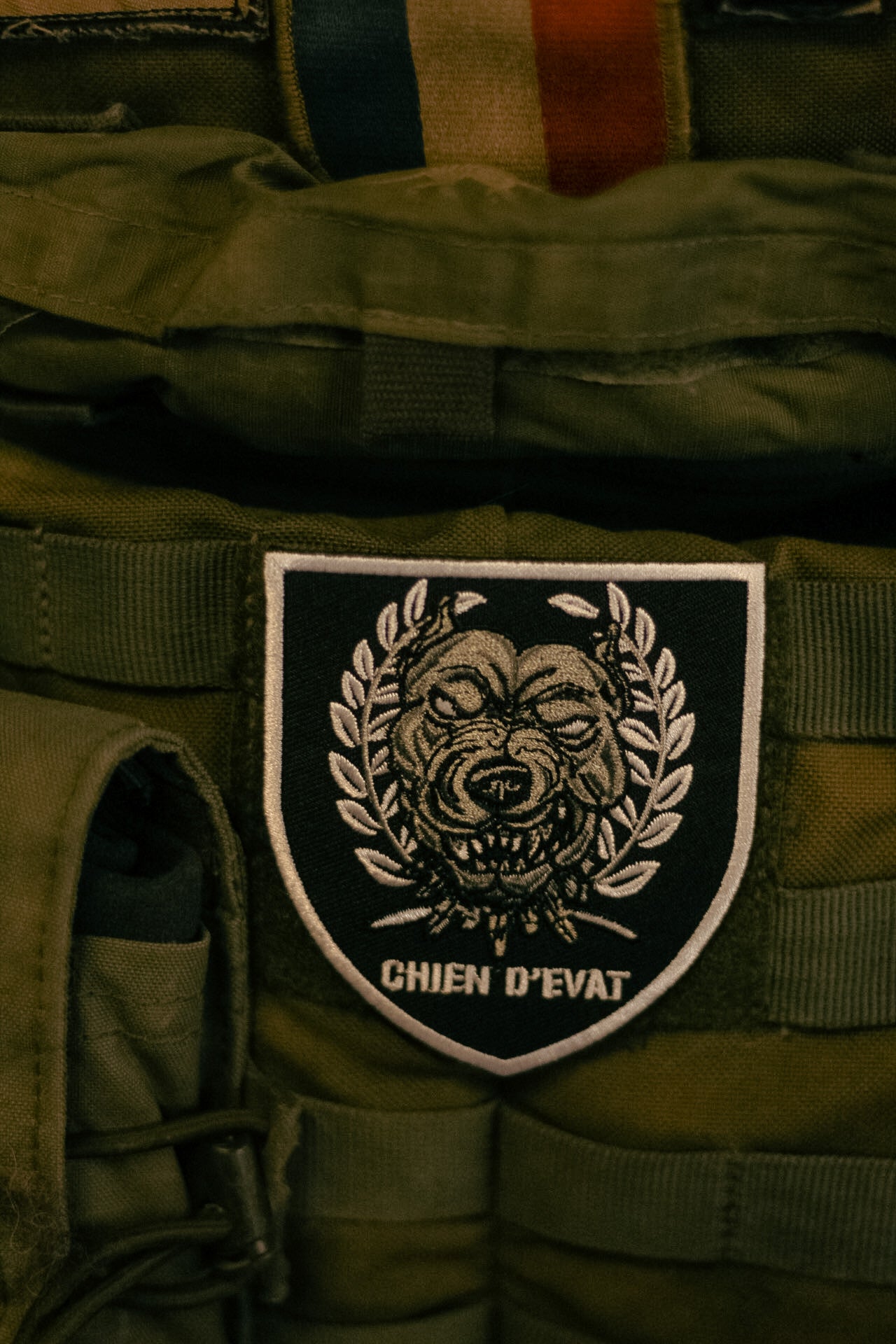 Patch Chien d'EVAT